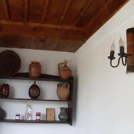 Pensionat Tsutsovi House